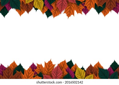Autumn background with colorful autumn leaves