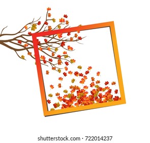 Autumn background with colorful leaves
