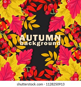 Autumn background with colorful leaves and  berries on dark  background. Vector illustration. 