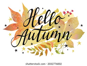 Autumn background with colorful leaves, berries and lettering inscription hello autumn. Vector illustration.