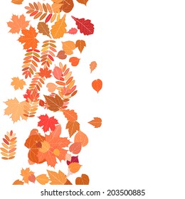 Autumn background with colorful leaves. EPS10