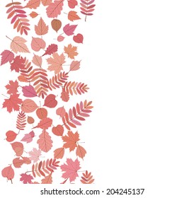 Autumn background with colorful leaves. EPS10