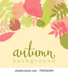 Autumn background with colorful leaves and handwritten lettering. Colored maple, lime, alder, ash silhouettes. Bright autumn vector banner, greeting card in red, green, brown subdued colors.