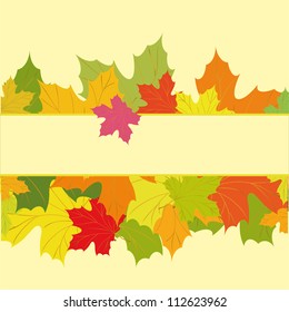 Autumn background with colorful leaves of maple