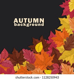 Autumn background with colorful leaves on dark  background. Vector illustration. 