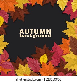 Autumn background with colorful leaves on dark  background. Vector illustration. 