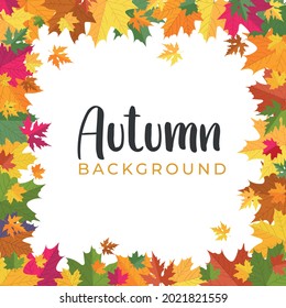 Autumn background with colorful leaves on white background. Fall vector flat style template for banner, flyer, wallpaper, brochure, greeting card. Cartoon vector illustration