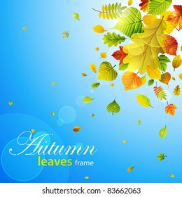 Autumn background with colorful leaves on sky and place for text. Vector illustration. Check my portfolio for raster version.