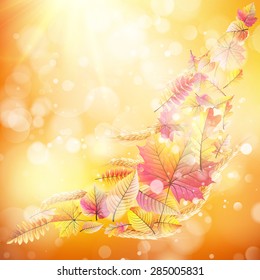 Autumn background with colorful leaves and place for text. EPS 10 vector file included