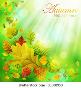 Autumn background with colorful leaves and place for text. Vector illustration. Check my portfolio for raster version.