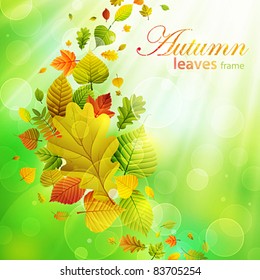 Autumn background with colorful leaves and place for text. Vector illustration. Check my portfolio for raster version.