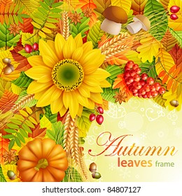 Autumn background with colorful leaves and place for text. Vector illustration. Check my portfolio for raster version.