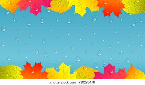Autumn background with colorful leaves and raindrops.