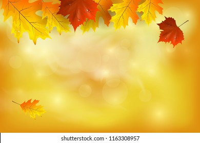   Autumn background with colorful leaves. Vector illustration. There is a place for your text.  
