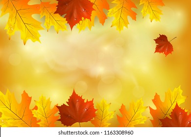   Autumn background with colorful leaves. Vector illustration. There is a place for your text.  
