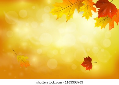   Autumn background with colorful leaves. Vector illustration. There is a place for your text.  
