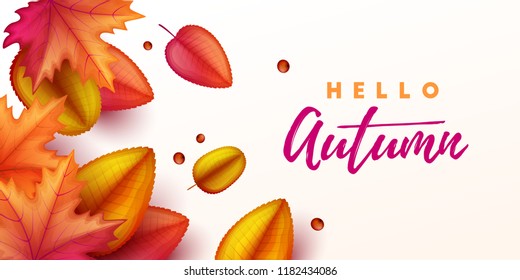 Autumn background with colorful leaves. Vector illustration.