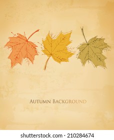 Autumn background with colorful leaves. Vector.