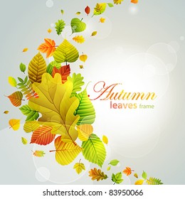 Autumn background with colorful leaves. Vector illustration. Check my portfolio for raster version.
