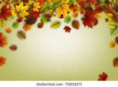 Autumn background with colorful maple and birch leaves. Vector illustration.