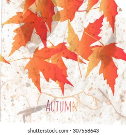 Autumn background with colorful maple leaves on old paper. Back to school. Vector illustration.