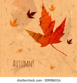 Autumn background with colorful maple leaves on old paper. Back to school. Vector illustration.