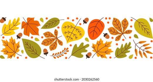 Autumn background with colorful seasonal leaves, berries, acorns on white background. Bright horizontal wide strip. Vector illustration