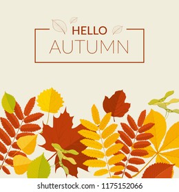 Autumn background. Colorful autumn tree leaves on a beige background. Vector illustration. Maple, rowan, birch, hornbeam, chestnut, hawthorn, poplar.