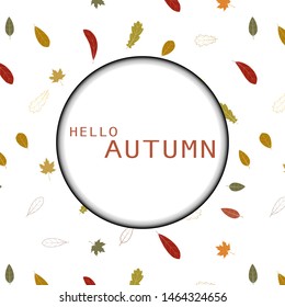 Autumn background with colourful leaves isolate on white background
