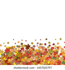 Autumn background with colourful maple leaves isolated on white background
