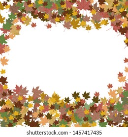 Autumn background with colourful maple leaves isolated on white background
