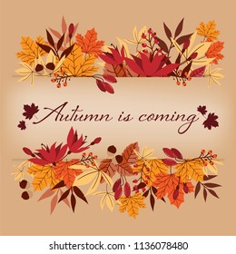 Autumn background with Autumn is coming text on autumn leaves frame.