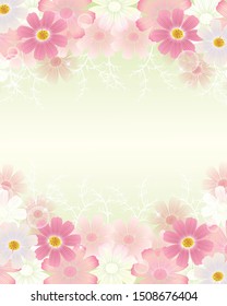 Autumn background with cosmos flowers