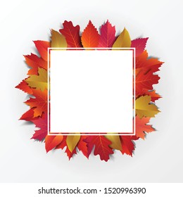 Autumn background decorate with falling leaves in modren style for shopping sale or promo poster and marketing leaflet or socail media banner. Square multipurpose background. Vector illustration 