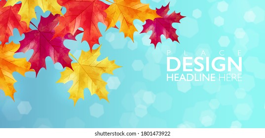 Autumn background decorates with maple leaves on bokeh background. Vector illustration.