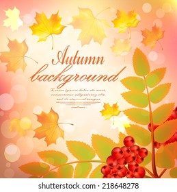 Autumn background design with ash.