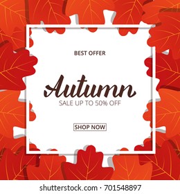 Autumn background design. Banner with oak leaves frame and trendy Autumn brush lettering. Seasonal Fall sale card