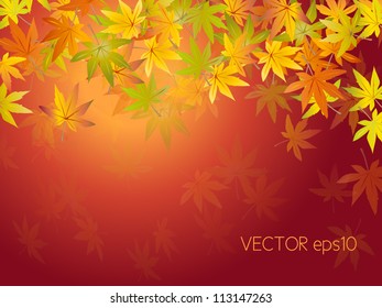 Autumn background design - fall leaves