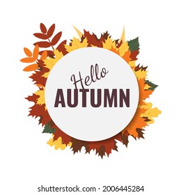 Autumn background design with hello autumn text in the circle frame and colorful leaves. Fall season greetings, advertising, sale design concept. Vector illustration