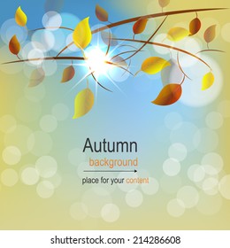 Autumn background, design with place for your content/vector illustration