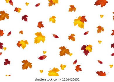 Autumn background design. Seamless pattern. Autumn falling red, yellow, orange and brown leaves isolated on white background. Vector autumnal foliage fall of maple leaves. 