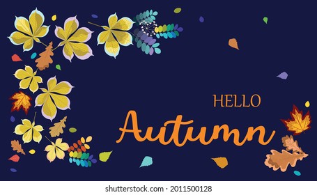 Autumn background design template with oak, chestnut and maple leaves. Hello fall background with Red, orange and yellow fall leaves and abstract shapes. Flat style vector illustration