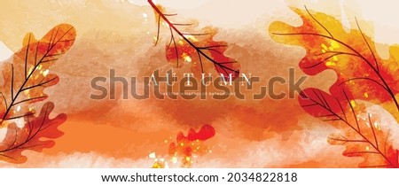 Similar – Image, Stock Photo Colourful leaves in autumn light