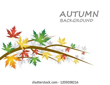 Autumn background with different kind colored leaves - Vector Illustration
