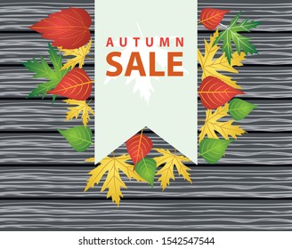 Autumn background with different kind of leaves over dark wooden background - Vector Illustration
