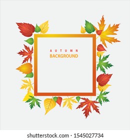 Autumn background with different kind of leaves over white background - Vector Illustration

