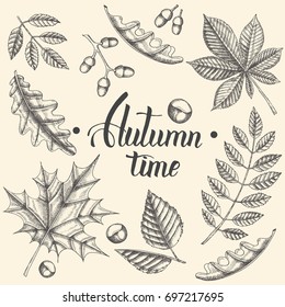Autumn background with doddle hand drawn leaves. Sketch. Engraving illustration. Hand made lettering "Autumn time". Banner, flyer, brochure. Advertising