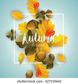 Autumn background with dried leaves and nuts.Vector
