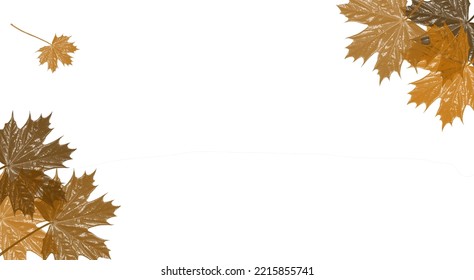 autumn background with dry leaf pattern