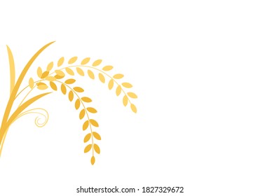 Autumn background with ear of rice on white background vector illustration. Blank space for copy and paste.